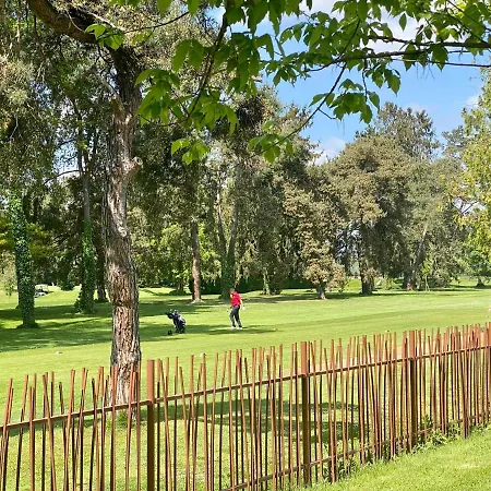 Apartment F1 Avec Terrasse Et Vue Sur Jardin Arbore - Fraicheur Naturelle Du Rez De Jardin - Parking *