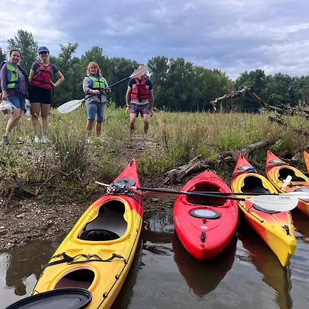 F1 Avec Terrasse Et Vue Sur Jardin Arbore - Fraicheur Naturelle Du Rez De Jardin - Parking Apartment