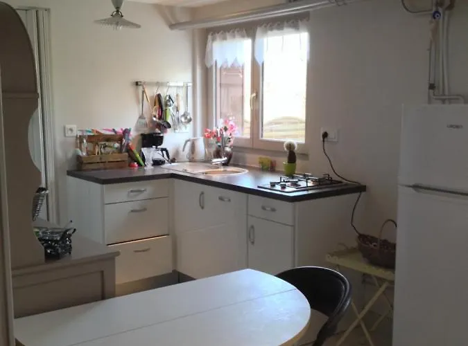 Apartment F1 Avec Terrasse Et Vue Sur Jardin Arbore - Fraicheur Naturelle Du Rez De Jardin - Parking Bellerive-sur-Allier