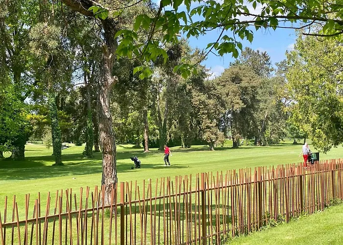 Apartment F1 Avec Terrasse Et Vue Sur Jardin Arbore - Fraicheur Naturelle Du Rez De Jardin - Parking *