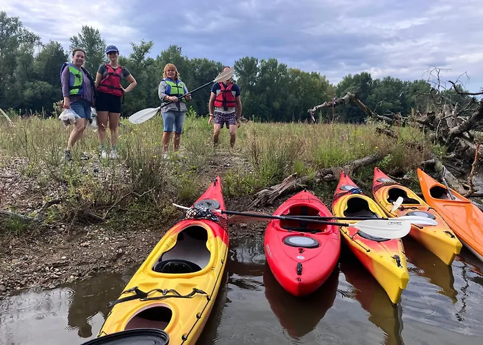 F1 Avec Terrasse Et Vue Sur Jardin Arbore - Fraicheur Naturelle Du Rez De Jardin - Parking Apartment